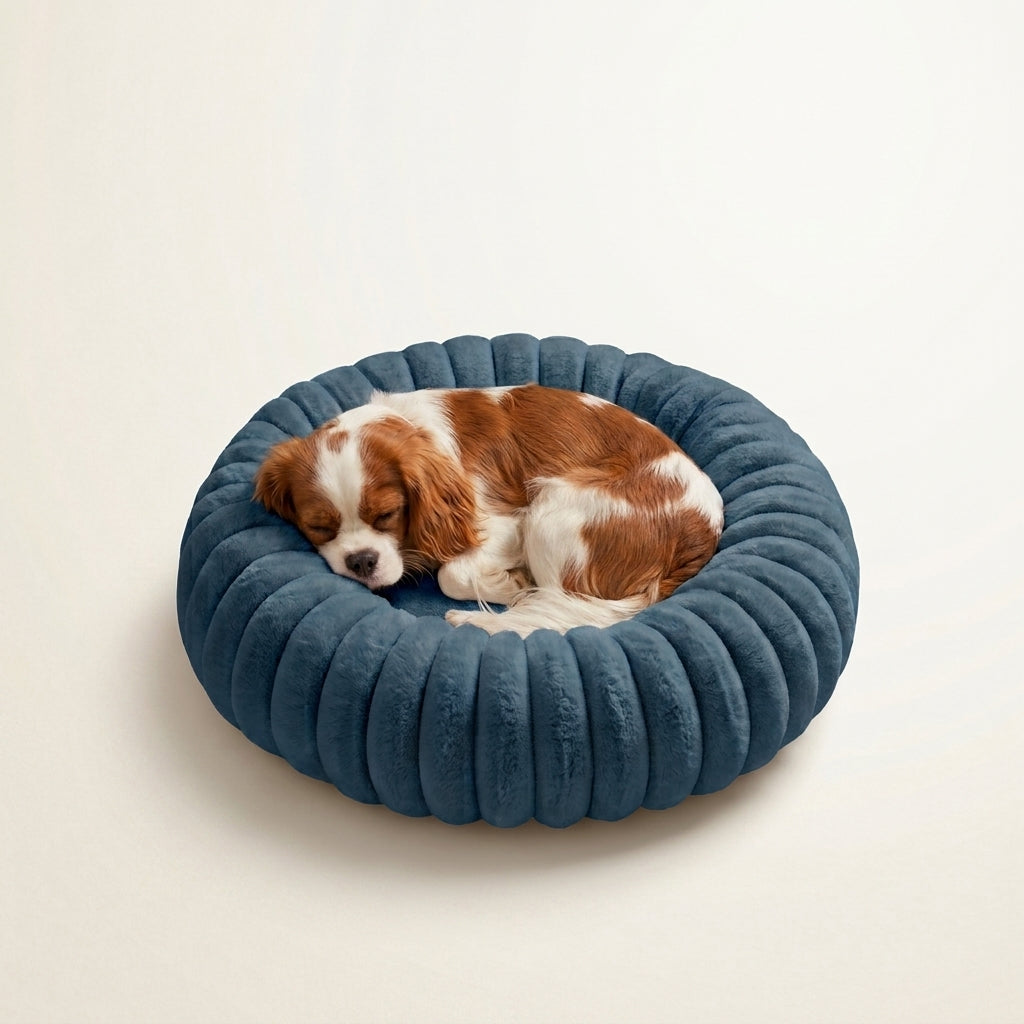 Panier pour Chien et chat